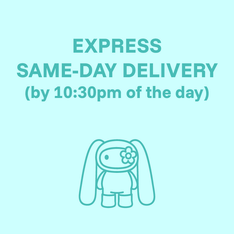 EXPRESS SAME-DAY DELIVERY