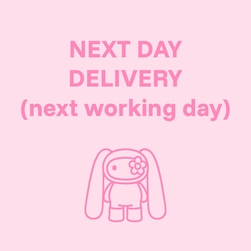 NEXT DAY DELIVERY